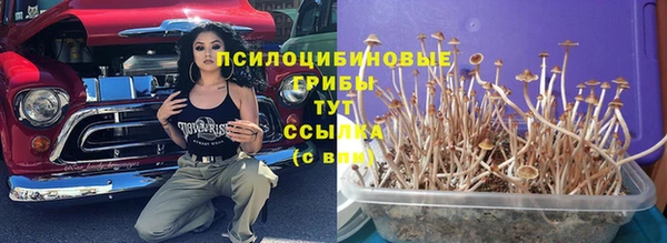 синтетический гашиш Бородино