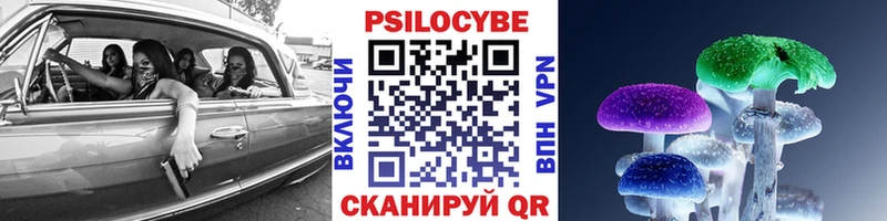 Псилоцибиновые грибы ЛСД дарнет шоп Гвардейск